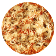 mushroom mushroom